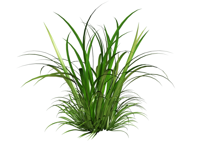Herbisida