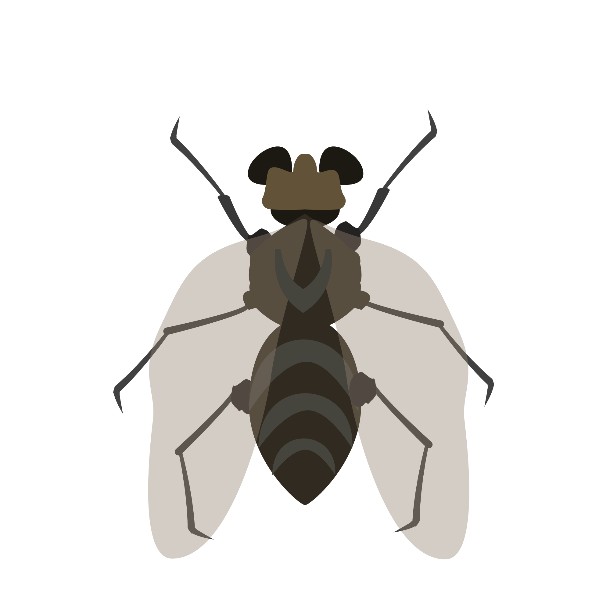 Insektisida