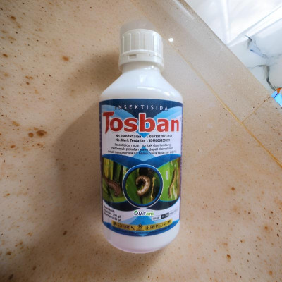Tosban Insektisida pengendali hama pada jagung